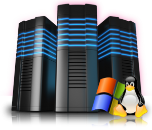 web-hosting-300x257